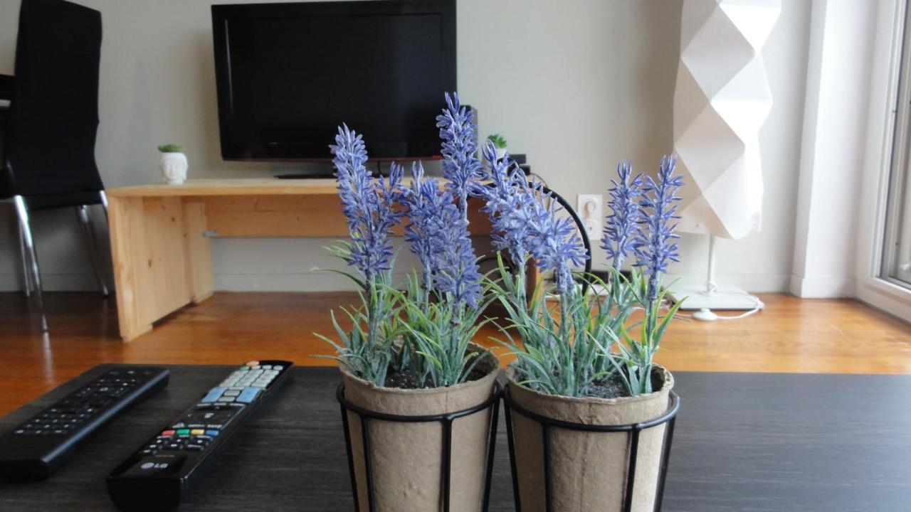 La Dolce Vita -T2 52M2- Dernier Etage- Terrasse-Parking-Wifi Fibre Apartman Tarbes Kültér fotó